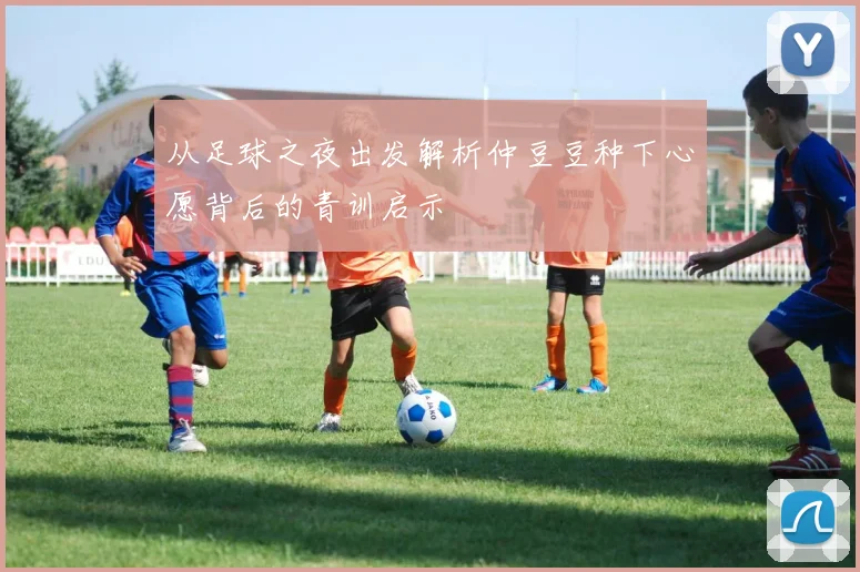 从足球之夜出发解析仲豆豆种下心愿背后的青训启示