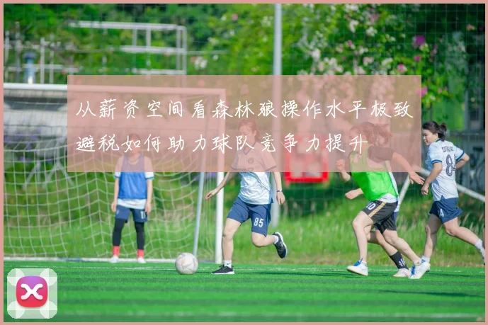 从薪资空间看森林狼操作水平极致避税如何助力球队竞争力提升