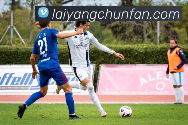 必一运动平台生态图